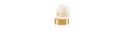 CREMA BASE INSTANT FILLER
